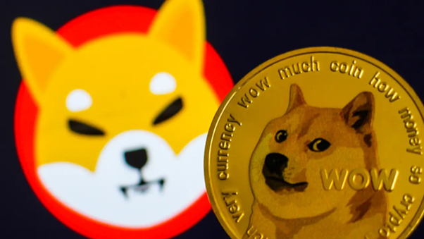 Unindo forças: Shiba Inu e Dogecoin. O futuro da criptomoeda se revela na sinergia desses ícones. #CryptoUnity #ShibaInu #Dogecoin - Pushd