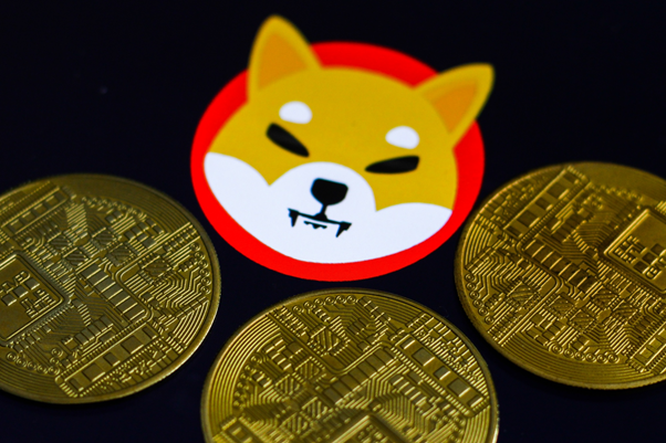 Investindo no futuro: Shiba Inu, Solana e Pushd lideram a próxima onda de oportunidades cripto em 2024 - Pushd