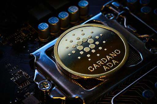 Investidores atentos: NuggetRush, a nova sensação P2E, atrai interesse massivo de detentores de Cardano e Bonk - Locks Labs