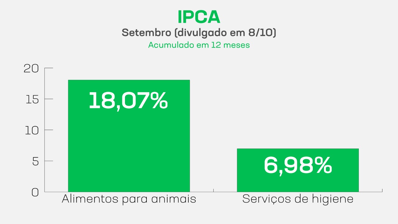 Inflação de produtos pet desafia planejamento financeiro de famílias e de ONGs que resgatam animais