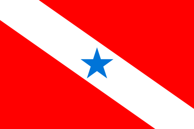 Bandeira do Estado do Pará - Governo Federal