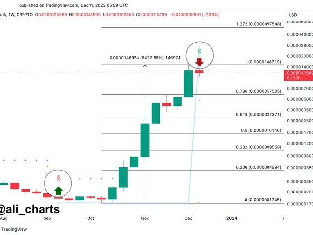Trader alerta sobre rival da Dogecoin; Borroe Finance destaca-se, BONK corrige, Optimism atinge reco