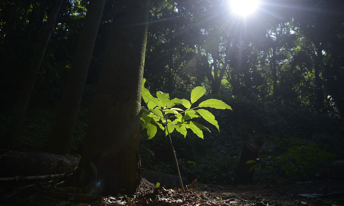 Grupo Flexível apresenta crescimento de 52,7% na produção e investe R$ 23 milhões em sustentabilidade, impulsionando a economia local em Santa Catarina