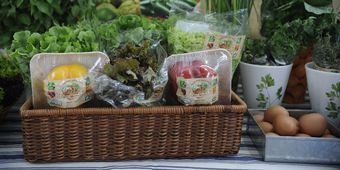 Alimentos
