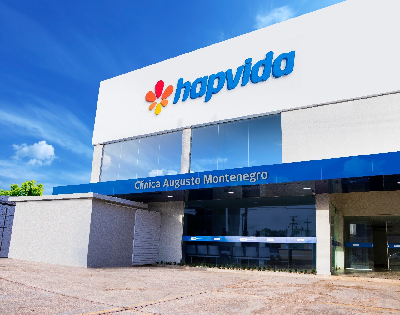 Informações sobre a Hapvida (HAPV3)