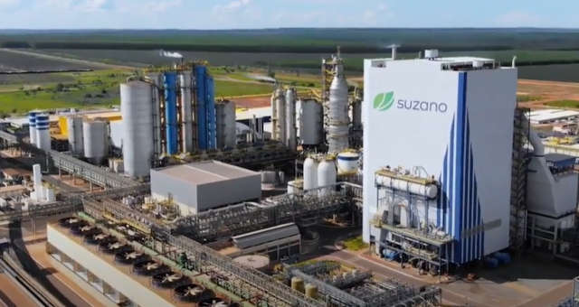 Altas e baixas do Ibovespa: Suzano (SUZB3) e Eztec (EZTC3) saltam mais de 3%