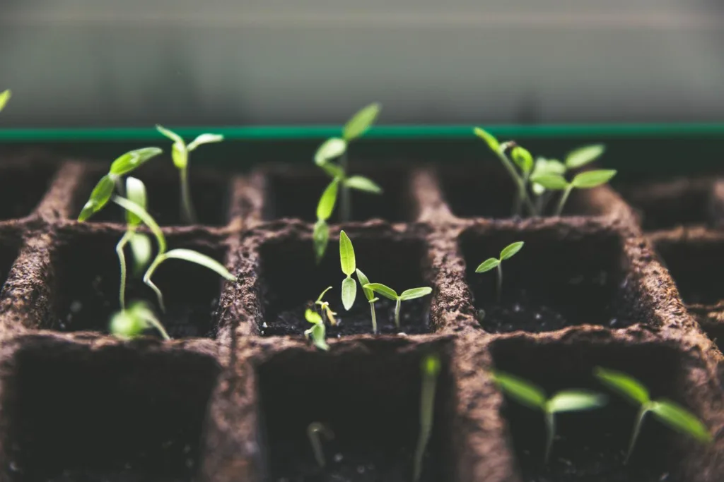 Especialistas apontam que a agricultura brasileira será foco global de financiamentos verdes