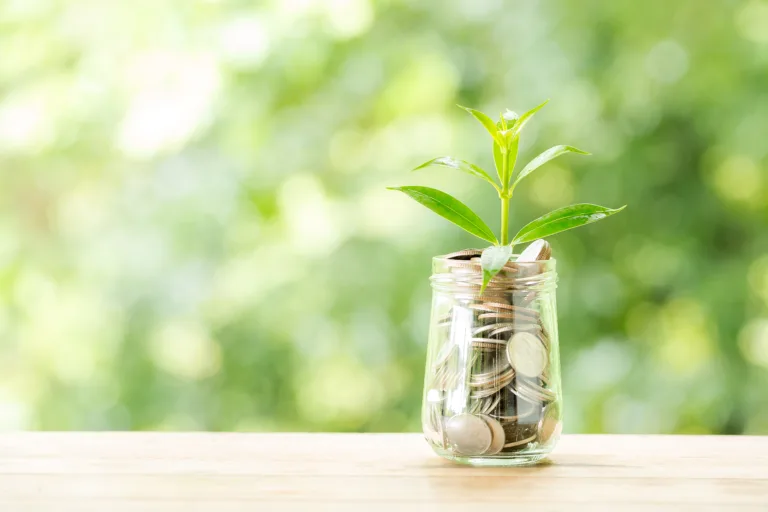 Plant growing from coins in the glass jar on blurred green natural background. copy space for business and financial growth concept.