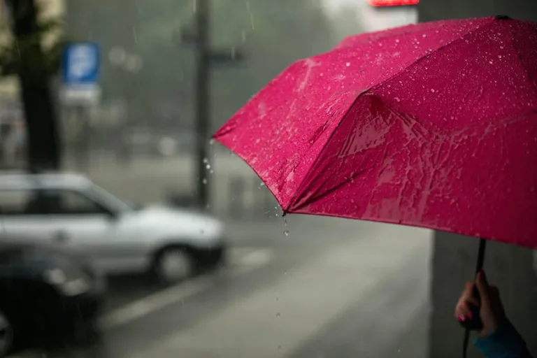 Clima, emoções e o mercado: como esses fatores interferem nos seus investimentos