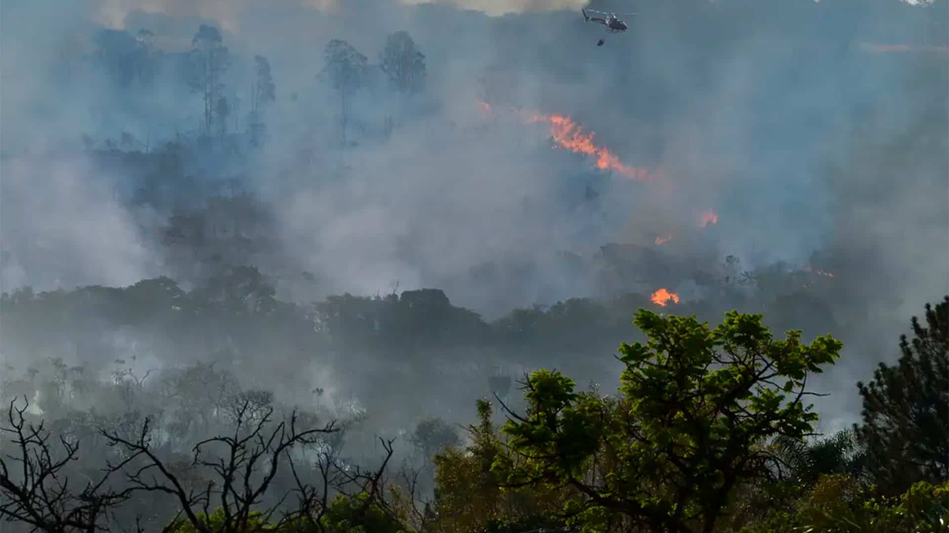 Fumaça das queimadas no Brasil pode atingir Argentina e Uruguai