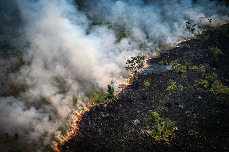 Amazônia queimadas desmatamento