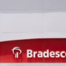 Bradesco - BBDC4