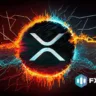 FXGuys