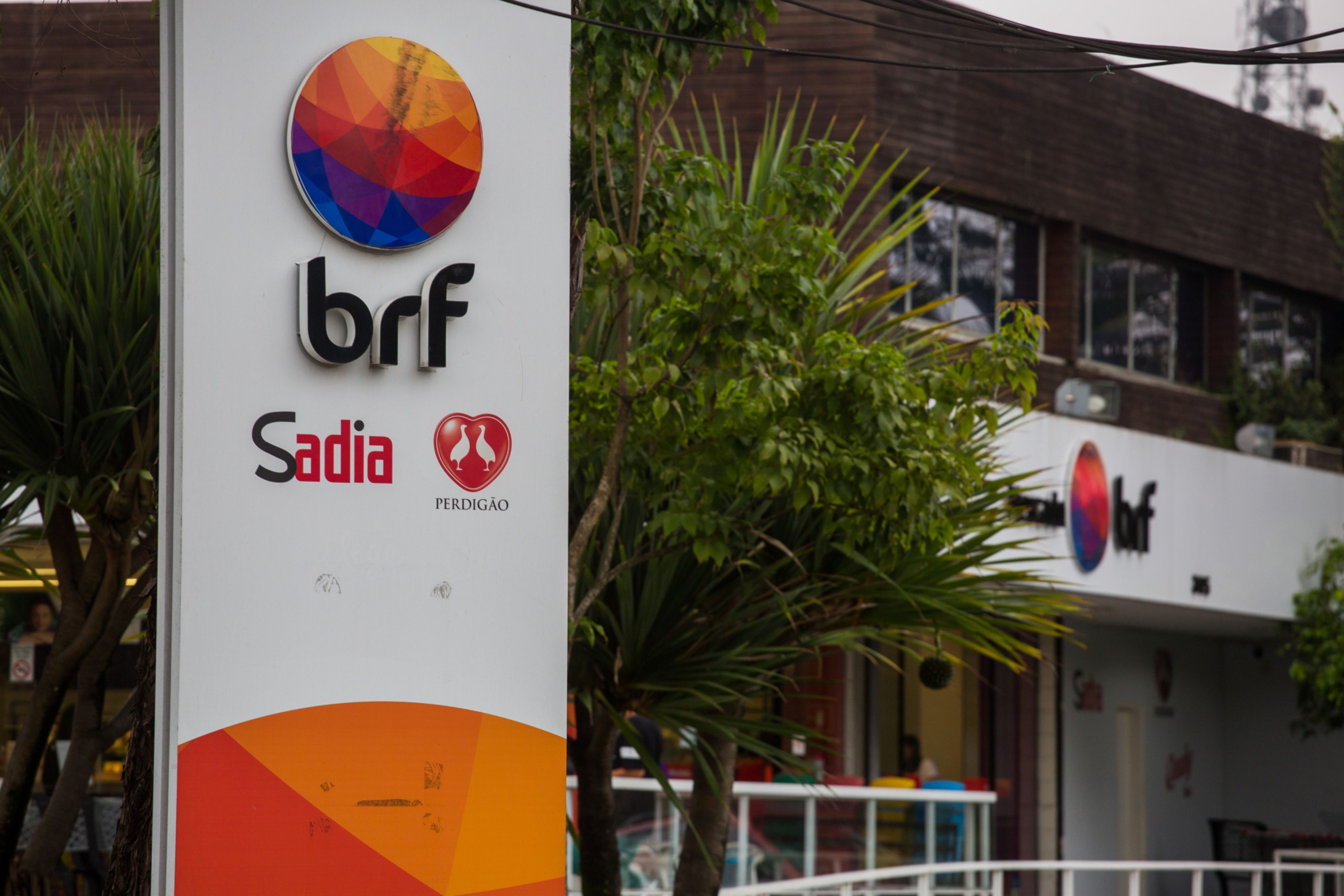 BRF - BRFS3