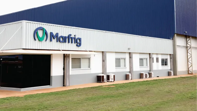 Informações sobre a Marfrig (MRFG3)