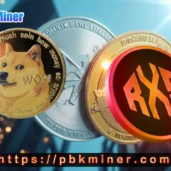 PBK Miner / Mineração / Criptomoedas