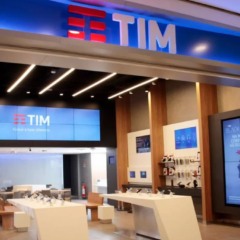 TIM (TIMS3)