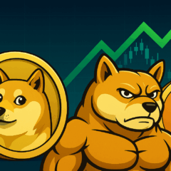 MaxiDoge