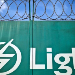 Light (LIGT3)