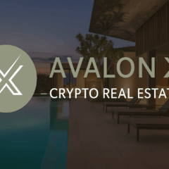 Logo da Avalon X sobre fundo de resort moderno com piscina à beira-mar, representando o projeto de imóveis tokenizados em blockchain e o crescimento dos RWAs.