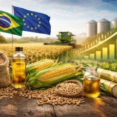 Imagem ilustrativa de produtos agr&iacute;colas brasileiros prontos para exporta&ccedil;&atilde;o, representando o impacto do acordo UE&ndash;Mercosul no agroneg&oacute;cio