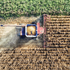 Colheitadeira em lavoura brasileira simboliza a for&ccedil;a do agroneg&oacute;cio ap&oacute;s o acordo UE&ndash;Mercosul.