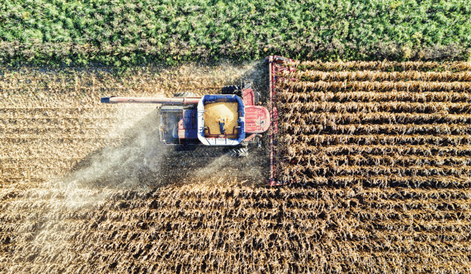 Colheitadeira em lavoura brasileira simboliza a força do agronegócio após o acordo UE–Mercosul.