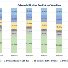 Estudo indica que FIDCs superaram o CDI em 2025